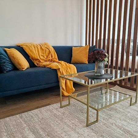 Mountain Breeze Luxury Apartment Ac & Parcare Privata براشوف المظهر الخارجي الصورة