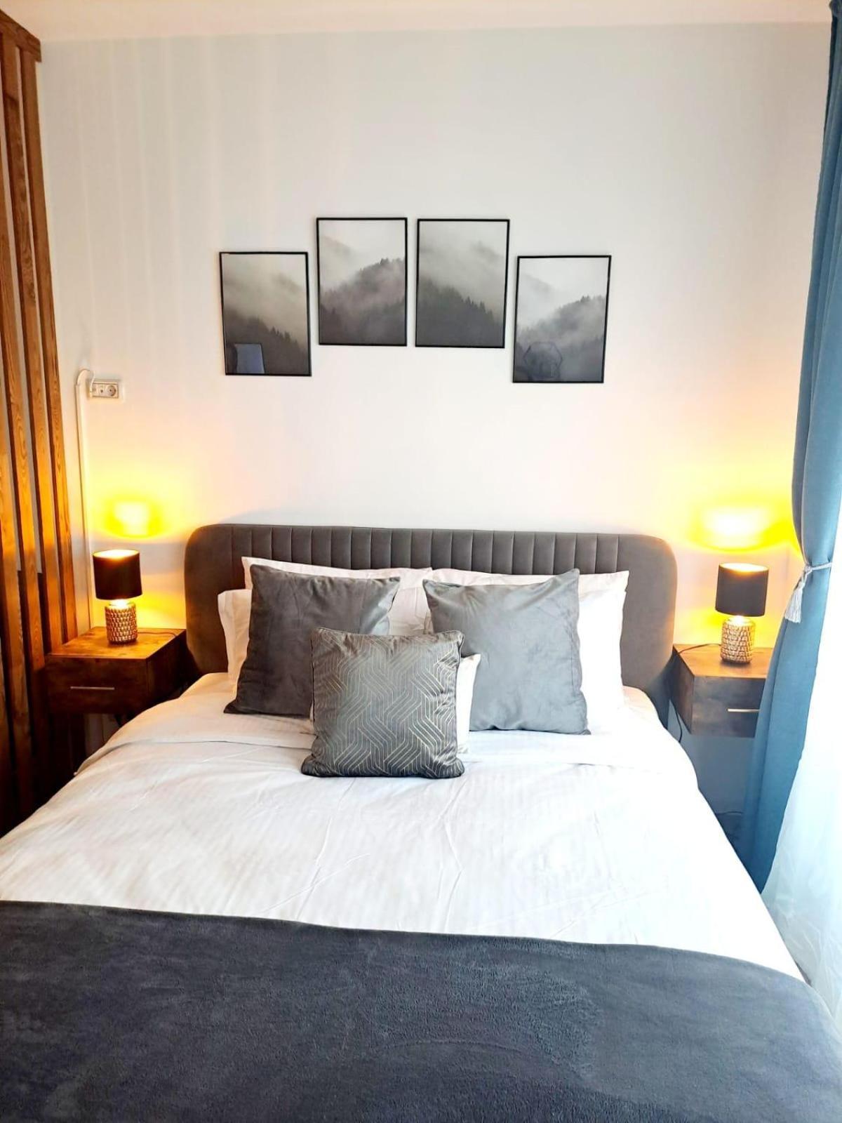 Mountain Breeze Luxury Apartment Ac & Parcare Privata براشوف المظهر الخارجي الصورة