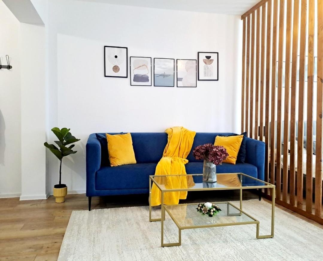 Mountain Breeze Luxury Apartment Ac & Parcare Privata براشوف المظهر الخارجي الصورة